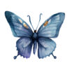 Blue butterfly clipart PNG with transparent background