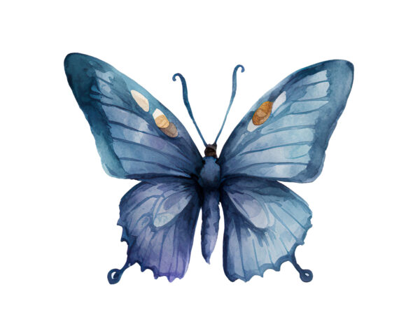 Flowers and butterfly clipart set - Image 7