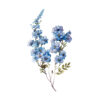 Flowers and Butterfly Clipart – Spring PNG Graphics for Crafts - Image 9