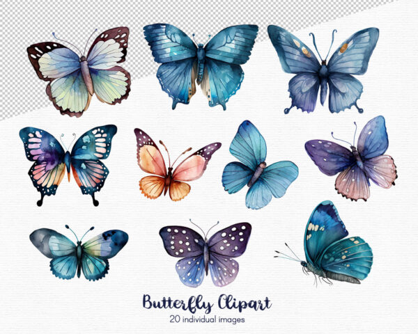 Flowers and butterfly clipart set - Image 3