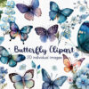 Elegant butterfly PNGs for crafts