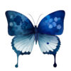 Blue Butterfly Clipart – Elegant Digital PNGs for DIY Projects - Image 5