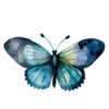 Blue Butterfly Clipart – Elegant Digital PNGs for DIY Projects - Image 6