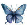 Blue Butterfly Clipart – Elegant Digital PNGs for DIY Projects - Image 7