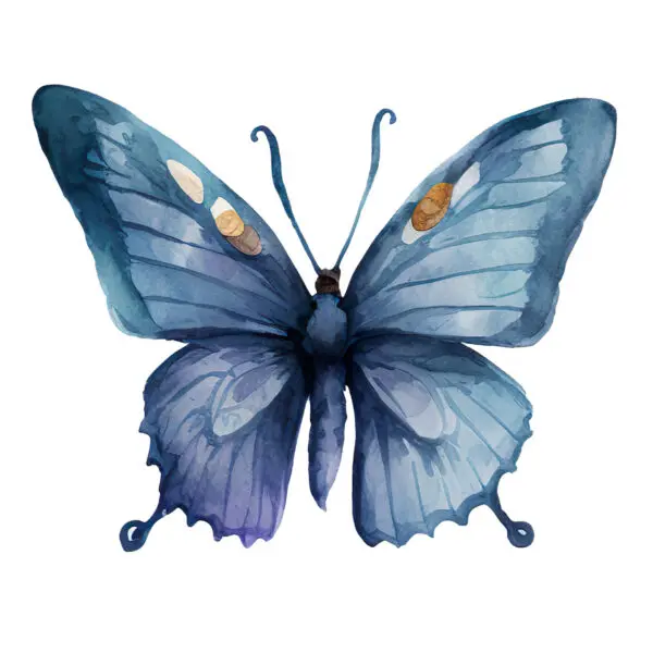 Blue Butterfly Clipart – Elegant Digital PNGs for DIY Projects - Image 7