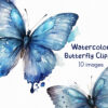 Watercolor Butterfly Clipart PNG