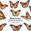 Monarch Butterfly Clipart PNG