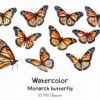 Monarch Butterfly Clipart PNG - Image 3
