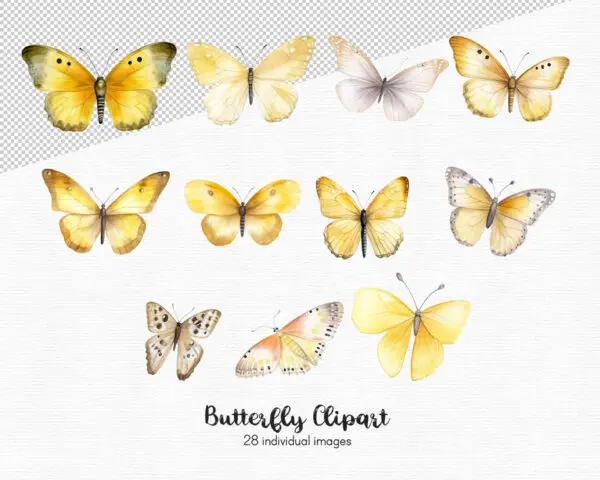 PNG yellow butterflies for crafts