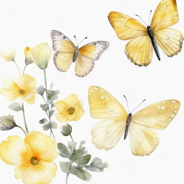 Digital butterfly graphics for sublimation