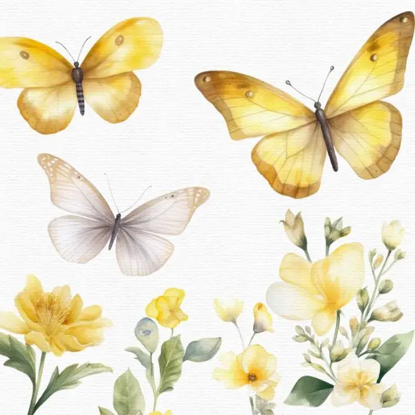 Digital butterfly graphics for sublimation