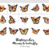 Monarch Butterfly Clipart 15 JPG images - Image 3