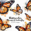 Monarch Butterfly Clipart 15 JPG images