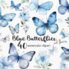 Blue Butterfly Clipart & Flower Clipart – 40 PNG