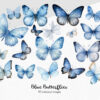 Blue Butterfly Clipart & Flower Clipart – 40 PNG - Image 4