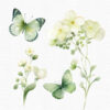 Green Butterfly Clipart, Flowers clipart, 40 png - Image 8