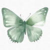 Green Butterfly Clipart, Flowers clipart, 40 png - Image 4