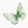 Green Butterfly Clipart, Flowers clipart, 40 png - Image 14