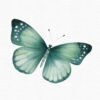 Green Butterfly Clipart, Flowers clipart, 40 png - Image 13