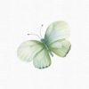 Green Butterfly Clipart, Flowers clipart, 40 png - Image 12