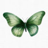 Green Butterfly Clipart, Flowers clipart, 40 png - Image 11