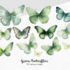 Green Butterfly Clipart, Flowers clipart, 40 png - Image 3