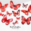 Red butterfly clipart and flowers PNG set
