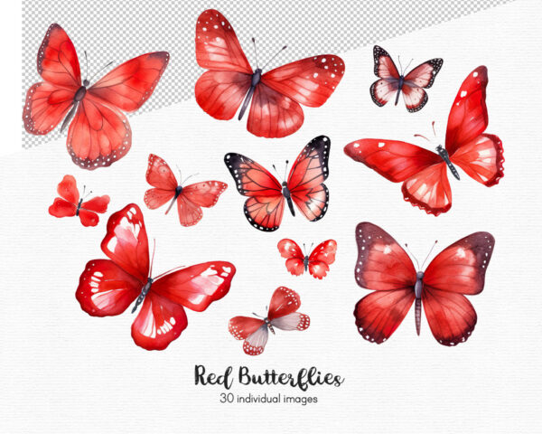 Red Butterfly Clipart, Flowers clipart, 30 png - Image 4