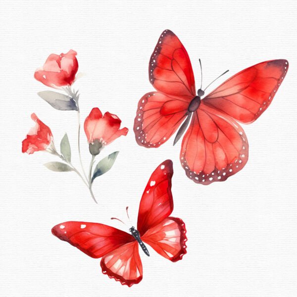 Red Butterfly Clipart, Flowers clipart, 30 png - Image 7