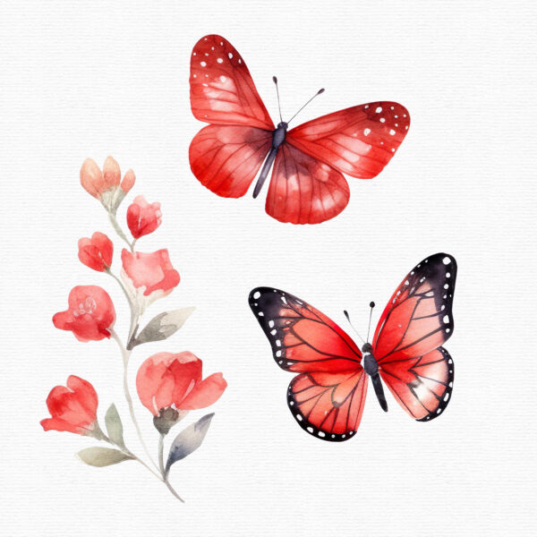 Red Butterfly Clipart, Flowers clipart, 30 png - Image 6