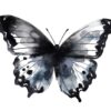Elegant black butterfly graphic for digital designs