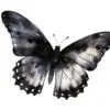 Elegant black butterfly graphic for digital designs