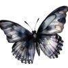 Black butterfly clipart PNG with transparent background