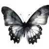 Detailed black butterfly clipart for invitations
