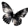 Detailed black butterfly clipart for invitations