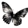 Detailed black butterfly clipart for invitations