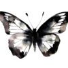 Detailed black butterfly clipart for invitations