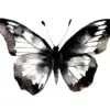 Detailed black butterfly clipart for invitations