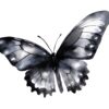 Elegant black butterfly graphic for digital designs