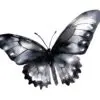 Elegant black butterfly graphic for digital designs