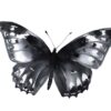 Elegant black butterfly graphic for digital designs
