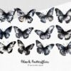 Elegant black butterfly graphic for digital designs