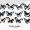 Elegant black butterfly graphic for digital designs