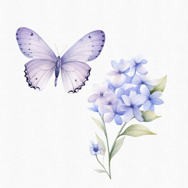 A clipart set with light blue and pink butterflies and flowers with soft colors.