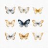 Gold and Blue Butterfly Clipart – PNG File - Image 6