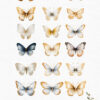 Gold and Blue Butterfly Clipart – PNG File - Image 2