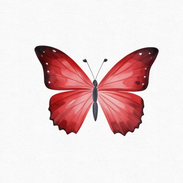 Part of a clipart set that includes 35 red butterflies in a flat style.