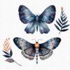Moth Butterfly Clipart – Vintage PNG Graphics for Crafts - Image 9