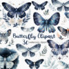 Butterfly and moth PNG graphics for crafts and sublimation