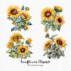 Sunflowers Clipart – Bright Yellow Floral PNG Set - Image 4
